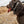 Stealth Camo Alpha Cobra Buckle E Collar Strap (Bungee)