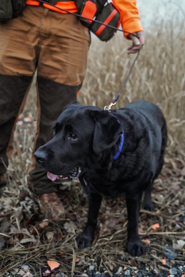 Rope BioThane® Leash