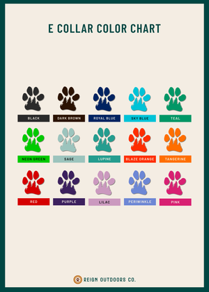 Cobra Buckle Bungee E Collar Strap (Alpha Bungee)