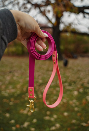 The Alpine BioThane® Leash