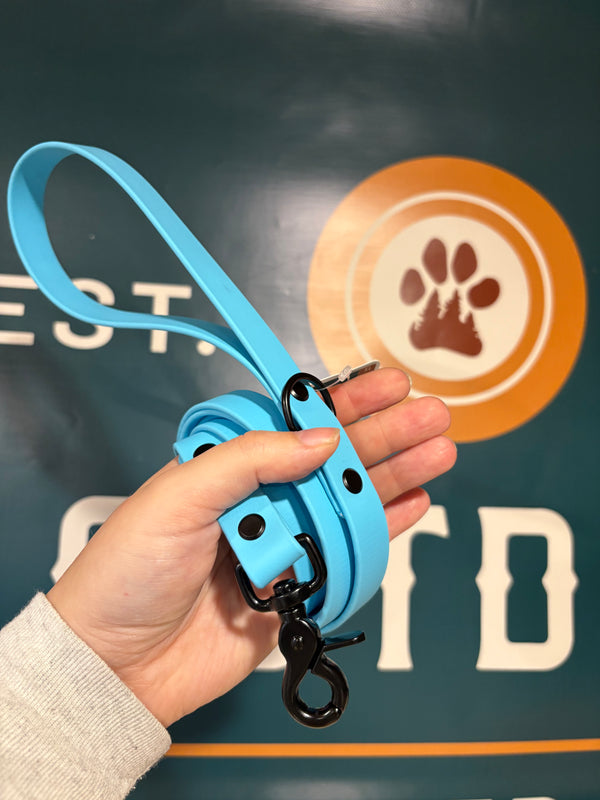 5' Leash