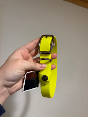 Medium Denali Collar