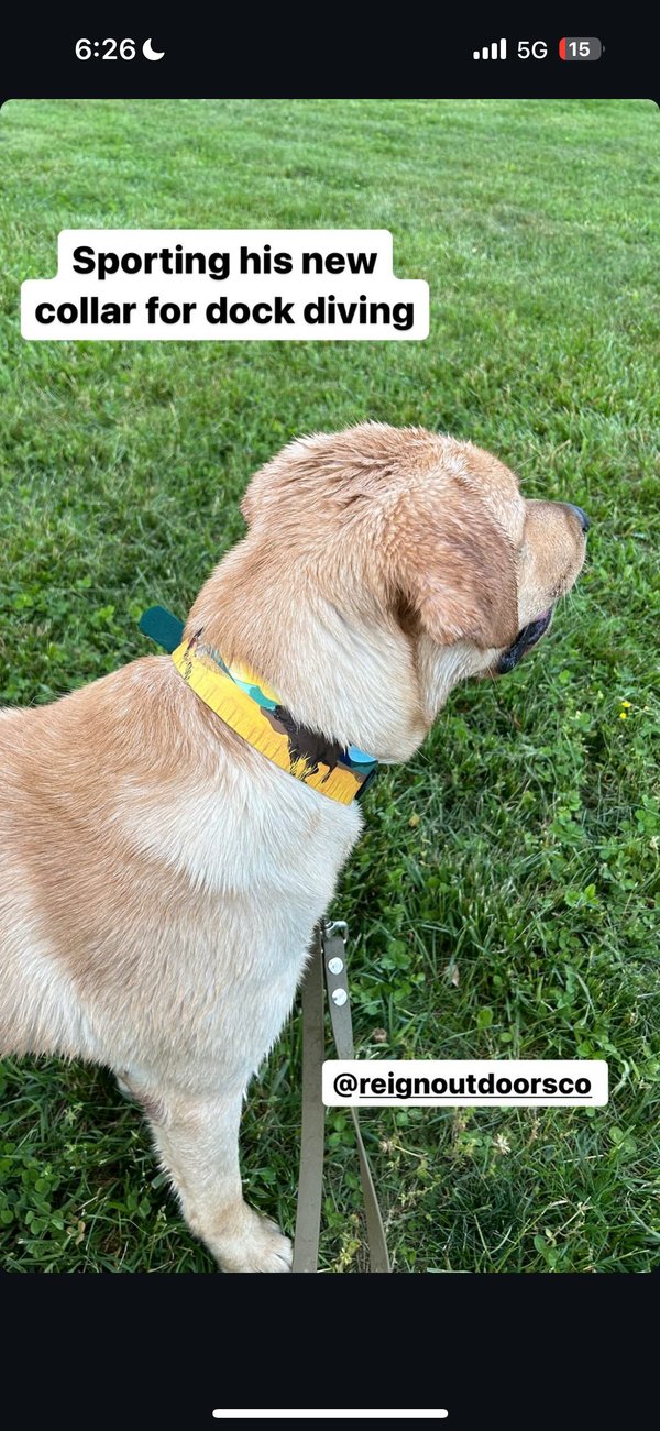 Chocolate Lab & Pheasant BioThane® Collar (Green Version)