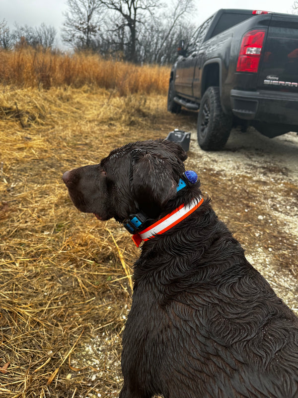 The Beretta Reflective BioThane® Collar