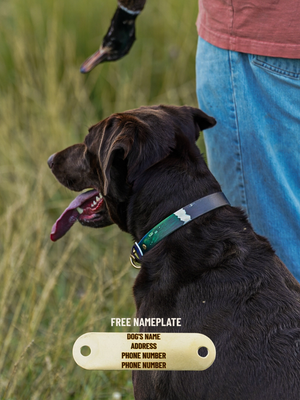 Duck Feather BioThane® Collar