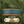 The Coho BioThane® Collar