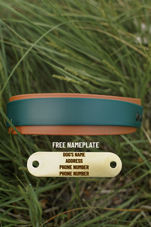 The Coho BioThane® Collar