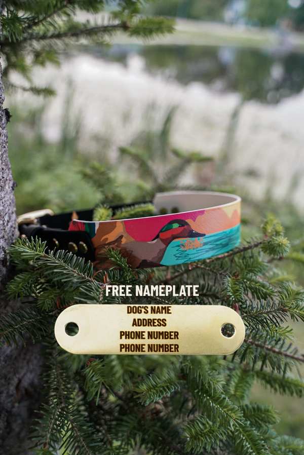 Teal Duck BioThane® Collar