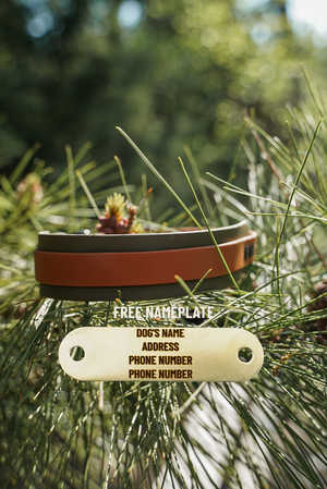 The Yeti 1.5” BioThane® with 3/4” All Around Strap