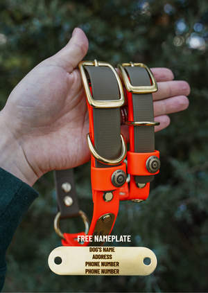 Denali Two Toned O Ring Collar