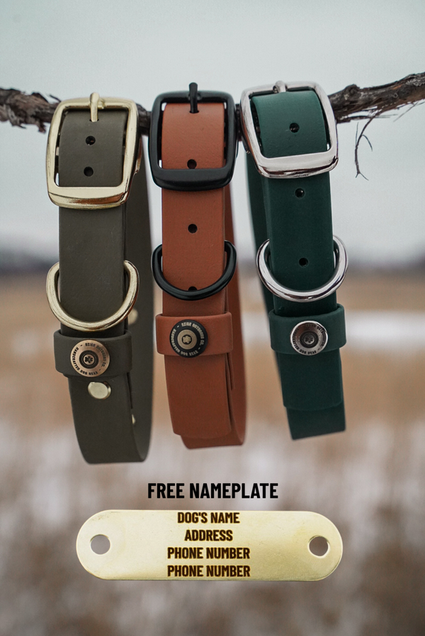 The Denali BioThane® Collar
