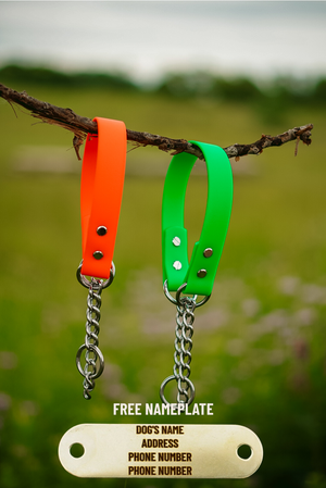 Martingale BioThane® Collar (The Timber)