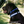 Upland Reflective O Ring Collar