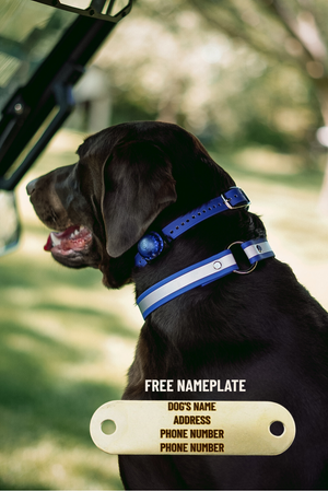 Upland Reflective O Ring Collar