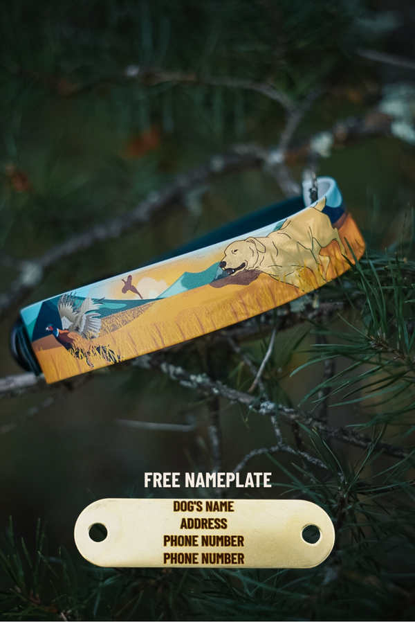 Yellow Lab & Pheasant BioThane® Collar (Green Version)