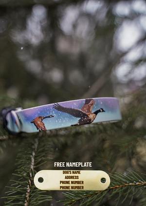 Goose BioThane® Collar