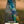 Wood Duck BioThane® Collar