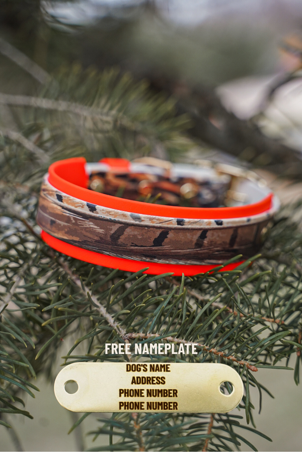 Pheasant Feather BioThane® Collar