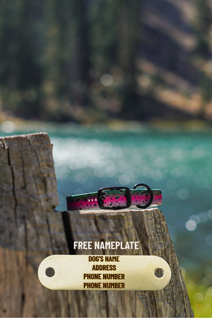 Rainbow Trout BioThane® Collar