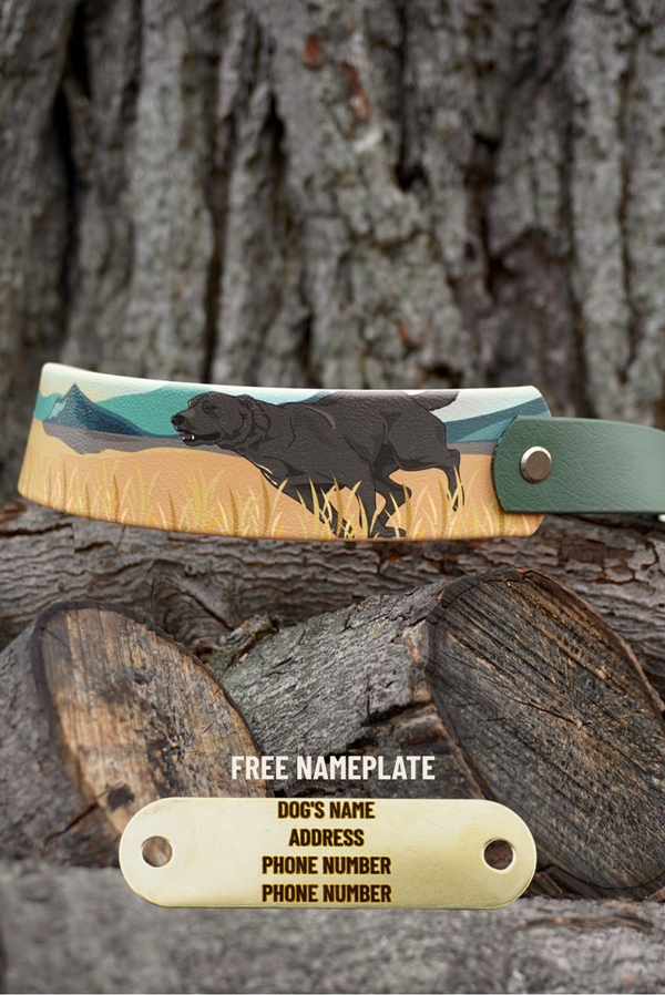 Chocolate Lab & Pheasant BioThane® Collar (Green Version)